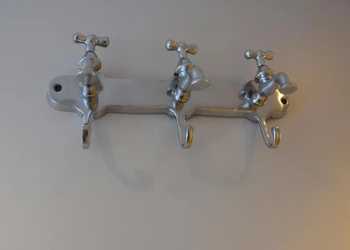 Houseboat Trinidad ספינת מלון מאסטריכט